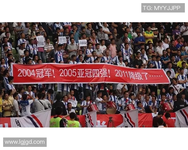 中国足球解散引发热议球迷心声与未来发展之路的深思